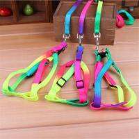 TEXColorful Rainbow Pet Dog Collar Harness Leash Soft Walking Harness Lead Colorful and Durable Traction Rope Nylon 120cm