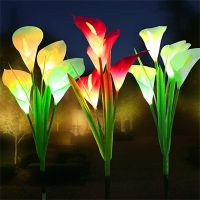 [AMO Garden Decoration]LED พลังงานแสงอาทิตย์ Calla Lily ดอกไม้แสงหลายสีเปลี่ยนโคมไฟสนามหญ้ากลางแจ้งกันน้ำภูมิทัศน์แสงสำหรับลานลาน P Athway ตกแต่ง