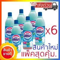 ไฮเตอร์ ซักผ้าขาว สีฟ้า 250ml (แพ็ค 6 ขวด) กําจัดแบคทีเรีย 99.9% Haiter ขจัดคราบฝังแน่น บนผ้า ทำความสะอาดห้องน้ำ เฟอร์นิเจอร์