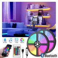 LED Strip Light Fita RGB 5050 Luces String Flexible Lamp Tape DC5V Bluetooth Infrared Control TV Backlight Home Party Decoration