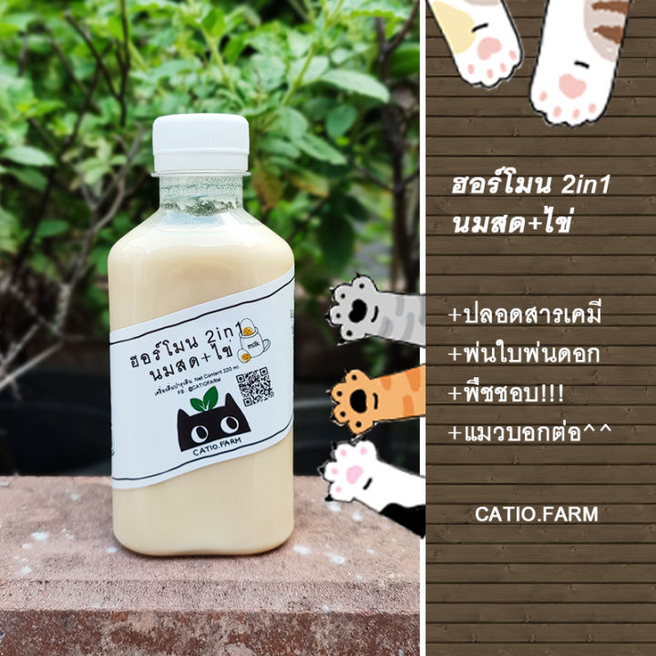 ฮอร์โมนไข่นมสด-catiofarm-ฮอร์โมน2in1-นมสดไข่-ปุ๋ยฮอร์โมน-บำรุงดิน-ระเบิดดอก-ผักหวานกรอบ-ดิน-ปุ๋ย-อุปกรณ์เพาะชำ-ขนาด-220cc