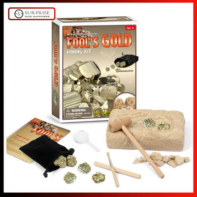Fool S Gold MiningขุดชุดRockและFossilเกมส์สะสมสำหรับเด็กที่ดีของขวัญเพื่อการศึกษาสำหรับเด็กการทดลองทางวิทยาศาสตร์ชุดDIY STEMธรณีวิทยาของเล่น