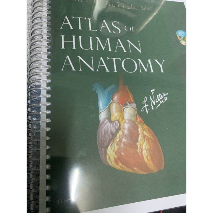 Bierr Dvre ATLAS OF HUMAN ANATOMY BY NETTER 7th Edition | Lazada PH