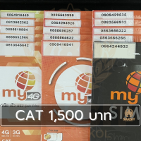 [No Active] ซิมระบบเติมเงิน Cat1,200-6,500 (Set1)