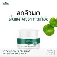 ? PIantnery Cica Centella Ceramide Recover Cream 50 g มอยส์เจอร์ครีม ปกป้องผิวจากผื่นภูมิแพ้ [ จัดส่งทั่วประเทศ ]