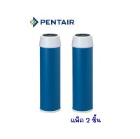 PENTAIR รุ่น GAC-10 CART PACK 2 PCS : ไส้กรอง Activated Carbon สำหรับกรองน้ำดื่ม RO แพ็ค 2 ชิ้น