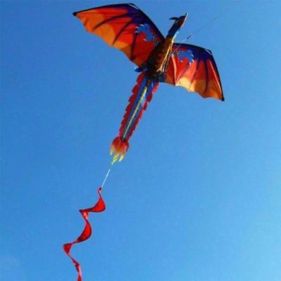【cw】Outdoor Colorful 3d Dragon Flying Kite With 100m Tail Fun Children Outdoor Sports Kite Toy Three-dimensional Big Line Famil W1c6 ！