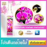 อะมิโนโปรตีน ชนิดฉีดพ่น สำหรับกล้วยไม้ Green Garden ปริมาณสุทธิ 300 มล. Amino Protein For Orchid อะมิโนโปรตีนชนิดน้ำสกัด