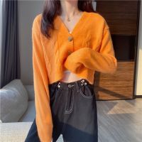 V-neck Long-Sleeved Cardigan Sweater Spring 2021 Womens Short Top Wide-Leg Pants fafaootd