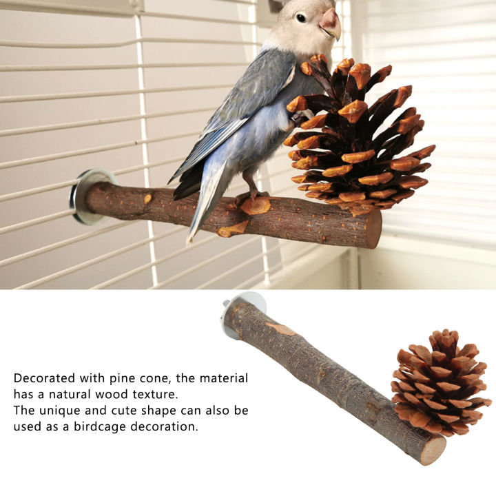 Bird Stand, Bird Cage Accessories