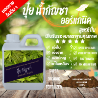 ปุ๋ยกันชา สูตรโตไว เร่งใบ แก้ใบเหลือง (ออร์แกนิค100%)  1000ML   !! Fertilizer Organic NPK สูตรออแกนิ 1000ml 100% ไร้สารเคมีปลอดสารเคมี