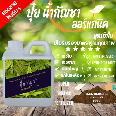 ปุ๋ยกันชา 1000ML สูตรโตไว เร่งใบ แก้ใบเหลือง (ออร์แกนิค100%)  1000ML   !! Fertilizer Organic NPK สูตรออแกนิ 1000ml 100% ไร้สารเคมีปลอดสารเคมี