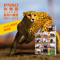 （READYSTOCK ）? Pnso Dinosaur King African Animal Star Small Model Zoo Growth Accompany Childrens Toys 001~013 YY