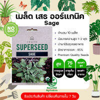 เมล็ดสมุนไพร เสธ Sage (Organic)  1 ซอง บรรจุ 10 เมล็ด ใบมีกลิ่นหอมหวาน มีก้านที่อ่อน นำมาใช้ปรุงรสอาหาร  จัดส่งฟรี  มีปลายทาง ร้าน Home440