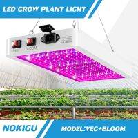 [NOKIGU] LED Grow Light 1000W-216LED และ 2000W-312LED ไฟปลูกต้นไม้ ไฟช่วยต้นไม้โตเร็ว ไฟปลูกพืช แสงม่วง