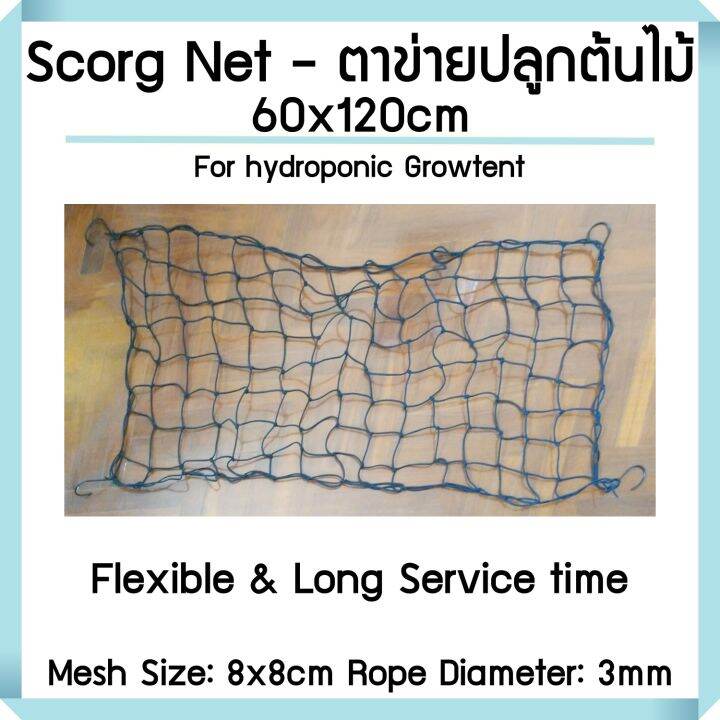 ตาข่ายปลูกต้นไม้-scrog-net-สำเร็จรูป-สำหรับ-plant-stress-training-ช่องตาข่าย-8x8cm-ขนาด-60x120-70x70-100x100-120x120-150x150-cm-จัดส่งจากไทย-trellis-net