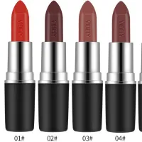 หลอดสีดำ Frosted Bullet Matte Waterproof Non-Stick Cup Lipstick HZ-139