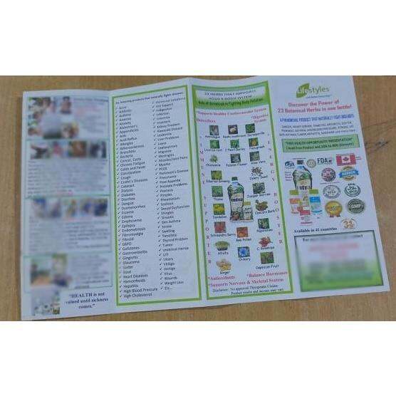 Flyers for Lifestyles Intra Distributors Only Lazada PH