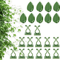 10PCS Plant Climbing Wall Fixture คลิป Plant Fixer Self-Adhesive Hooks ที่มองไม่เห็น Wall Fixing คลิป Vines สำหรับตกแต่งบ้าน