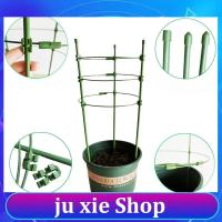 JuXie store Garden Plant Bracket Holder Climbing Vine Rack Potted Support Frame Plastic Coated Steel Vegetables Decorative Trellis