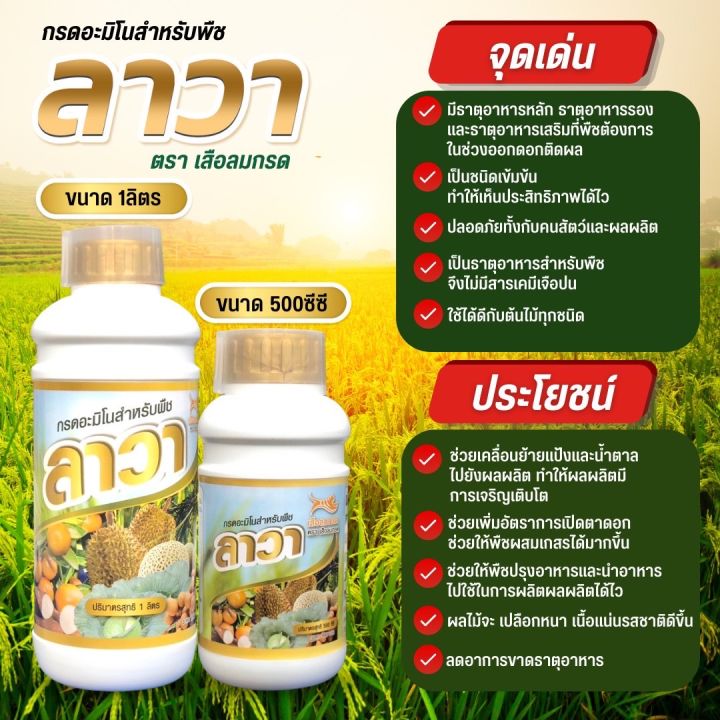 สารจับใบ-แมกม่า-maxma-กรดอมิโนลาวา-ช่วยการดูดซึม-ช่วยให้ดินนุ่มใช้ได้กับพืชทุกชนิด-ลดต้นทุน-ปุ๋ยเคมี-ต่างๆ-และไม่ทำลายสิ่งแวดล้อม