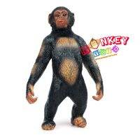 Monkey Toys - โมเดลสัตว์ Simpanse ลิง ซิมแปนซี  ขนาด 15.50 CM (จากหาดใหญ่)