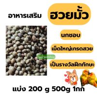 ✻ฮวยมั้วเม็ดใหญ่เกรดสวย รหัส A+อาหารนก แฮมเตอร์ กระรอก(แบ่ง 500g -1kg)ღ