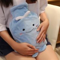 Winter Warm Water Injection Hot Water Bottles For Hands Feet Belly Women Water-Filled Type Hot Water Bag Removable Hand Warmer