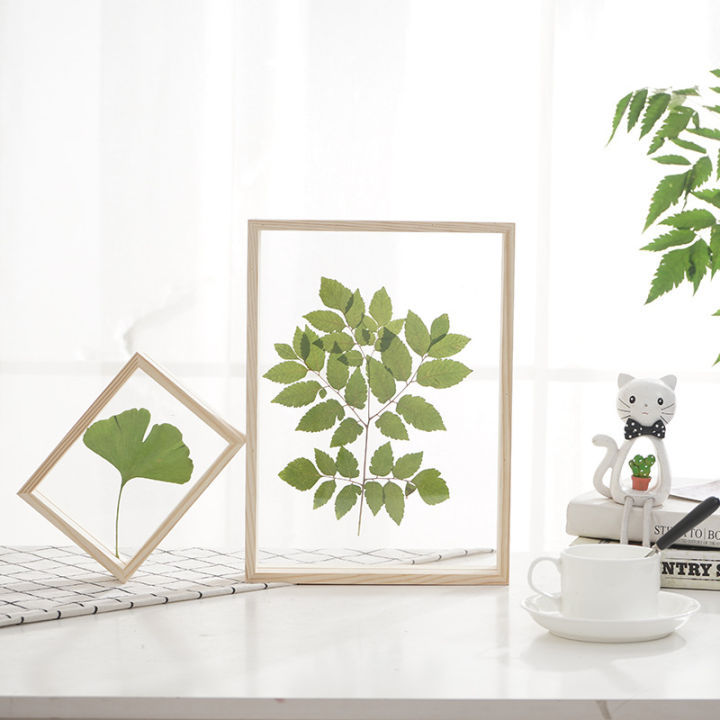 ตัวอย่างพืชไม้กระจกด้านข้างสองชั้นสุดสร้างสรรค์กรอบรูปสีไม้กรอบรูปทึบโปร่งใสกรอบรูป-huilinshen