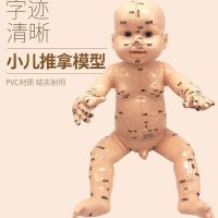 Ultra clear infantile tuina model doll with point massage human body simulation in teaching young children the whole body of traditional Chinese medicine