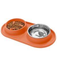 Dogs Slow Feeder Bowl Bloat Stop Pet Bowls with Steel Water Bowl for Puppy, No-Spill Non-Skid