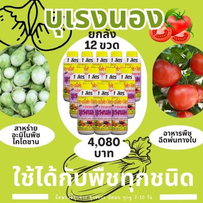 พร้อมส่ง💯 บุเรงนอง ยกลัง 12 ขวด ขนาด 1 ลิตร อะมิโนพืช+สาหร่าย+ไคโตซาน+น้ำตาลทางด่วน อาหารพืช ใช้ฉีดพ่นทางใบ ฉีดพ่น ได้ทุกพืช มะเขือ