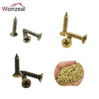 Sekrup Penyangga 200 Buah 2X5Mm 2X6Mm 2X8Mm 2X10Mm Panci Phillips Baja Kepala Bulat Paku Payung Pelapis Furnitur Kayu Mandiri