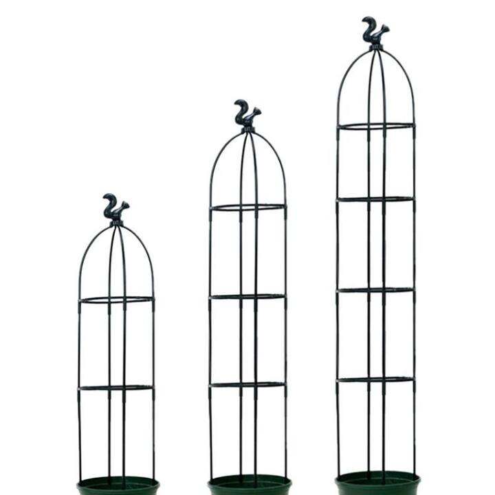 Garden Trellis For Climbing Plants Climbing Plant Rose Tower Tall Plant 