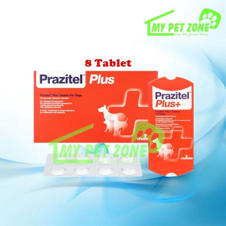 new Prazitel Plus Dewormer (Dog) X 8Tablets Worming Tablet Lazada