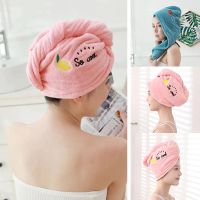 Rapid Drying Towel Dry Hair Cap Coral Fleece Strong Absorbent Shower Cap Embroidery Quick-Drying Towel Womens Head Scarf Towels