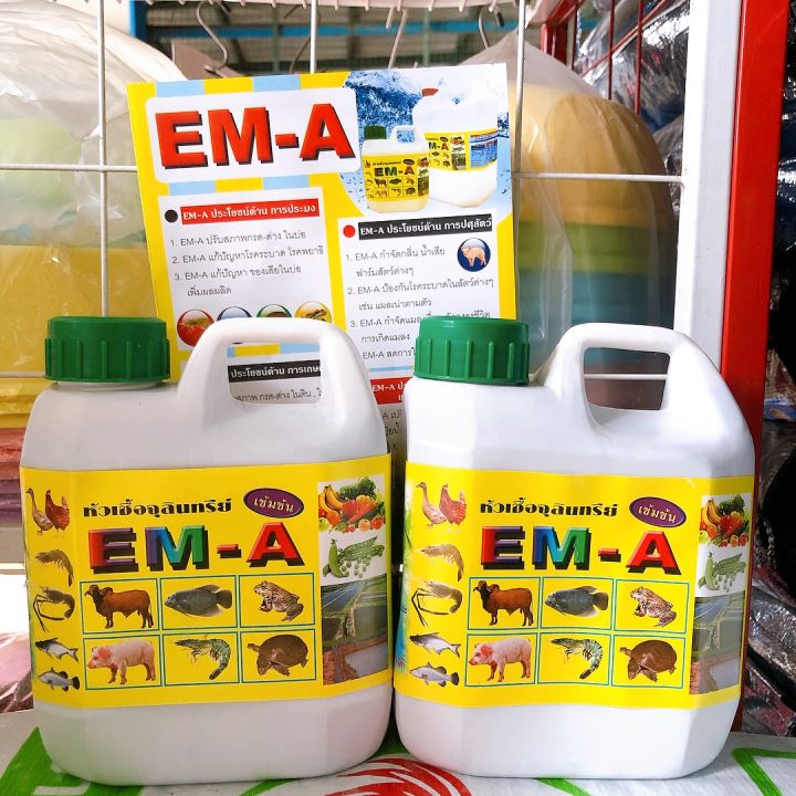 em-อีเอ็ม-หัวเชื้อจุลินทรีย์-สูตรเข้มข้น-ใช้ในฟาร์ม-ปรับสภาพดิน-ปรับสภาพน้ำ-กำจัดกลิ่น-ดับกลิ่น-บำบัดน้ำเสีย