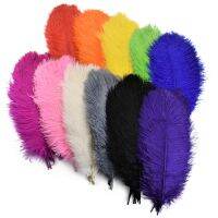 10Pcs 35-40cm Colorful Ostrich Feathers for Crafts Carnival Decoration Table Centerpieces Plume for Vases Handicraft Accessories