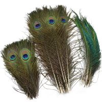 50Pcs/Lot Natural Real Peacock Feathers for Decoration Crafts Big Feather DIY Table Centerpieces dream catcher Party Accessories