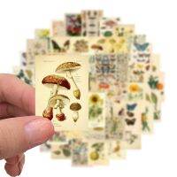 50pcs Vintage Mushroom Flower Butterfly Stickers For Stationery Scrapbook Laptop Ipad Sticker Scrapbooking Supplies Aesthetic  Scrapbooking