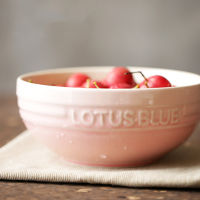 PinkBlue gradient color pigmented ceramic porcelain high quality tableware bowls salad grain oatmeal corn flakes soup bowls