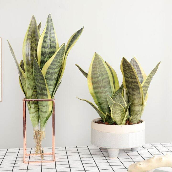 ayiq-flower-shop-พืชเทียม-sansevieria-บอนไซตกแต่งพลาสติกปลอมใบทะเลทราย-succulents-พืช-agave-โฮมออฟฟิศสวน-decors