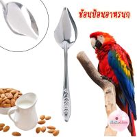 ช้อนป้อนอาหารนก ช้อนป้อนอาหารลูกนก ช้อนป้อนอาหารนกป่วย Bird 12cm