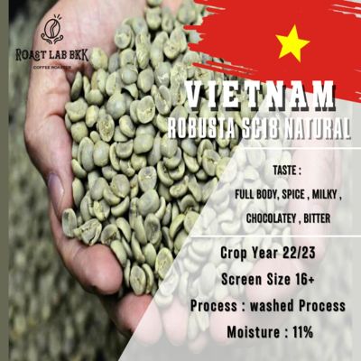สารกาแฟโรบัสต้าเวียดนาม Robusta Vietnam เกรด Premium size 16-18
