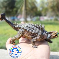 Munich Play - โมเดล ไดโนเสาร์ Ankylosaurus ขนาด 15.00 CM (จากหาดใหญ่)