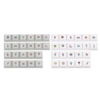 （Miss qis keycap） E65AKeycap 22คีย์ PBT DSA ความสูง5ด้านระเหิดสำหรับ61/68/87/104/108