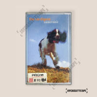 The Cardigans อัลบั้ม Emmerdale เทปเพลง เทปคาสเซ็ต เทปคาสเซ็ท Cassette Tape เทปเพลงสากล