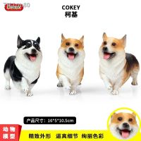 ? ของขวัญ Childrens simulation model of static solid wildlife corgi dog suit to do toy furnishing articles