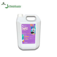 [สินค้าพร้อมจัดส่ง]⭐⭐WT Nutrients - Dwarf 5L[สินค้าใหม่]จัดส่งฟรีมีบริการเก็บเงินปลายทาง⭐⭐