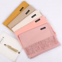 Hot sell Pure color imitation cashmere scarf female autumn winter hot style 220 g classic plate monochromatic tassel joker warm shawl gift